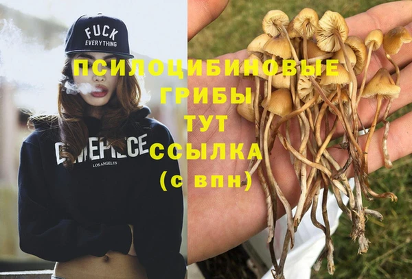 spice Арсеньев
