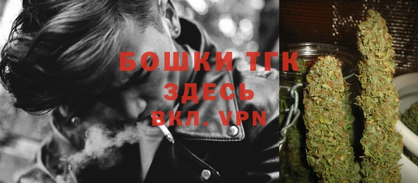 spice Арсеньев