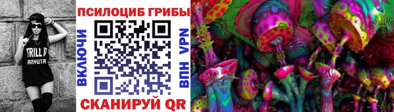 KRAKEN как зайти  наркота  Боготол  Псилоцибиновые грибы Psilocybine cubensis 